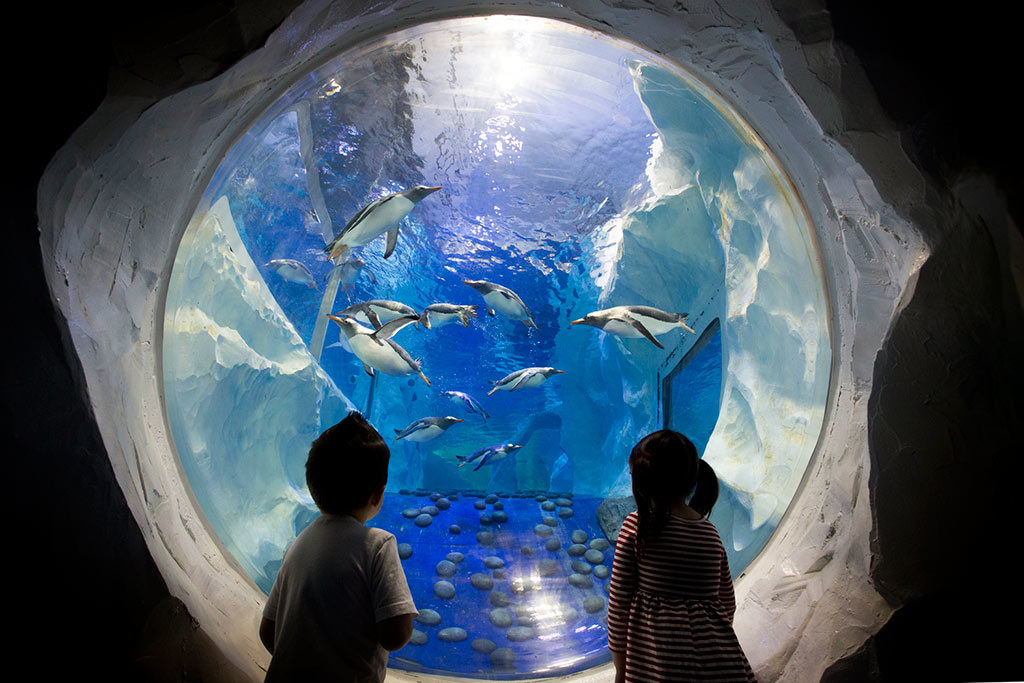 Sea Life Aquarium Londres