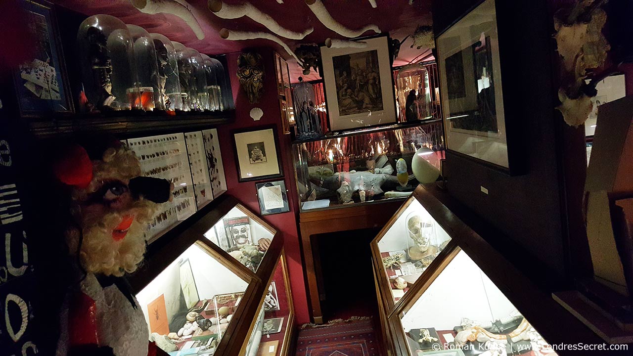 Cabinet de curiosités Londres Victor Wynd Museum