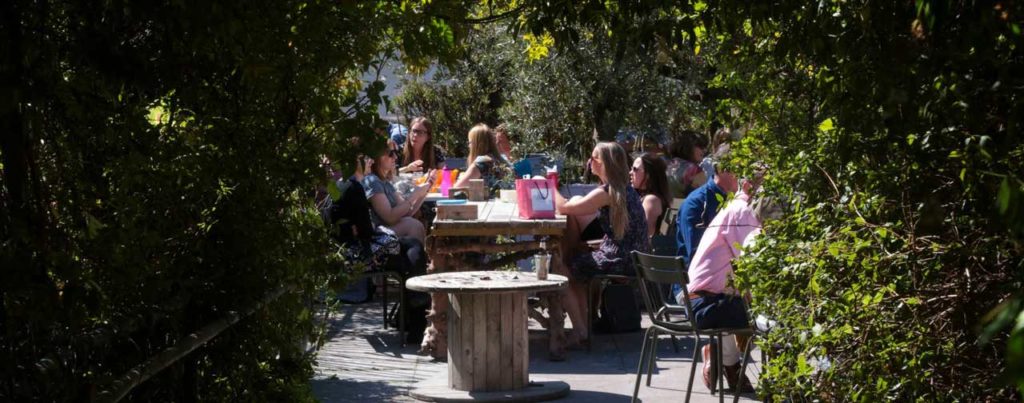 Queen Elizabeth Hall Roof Garden