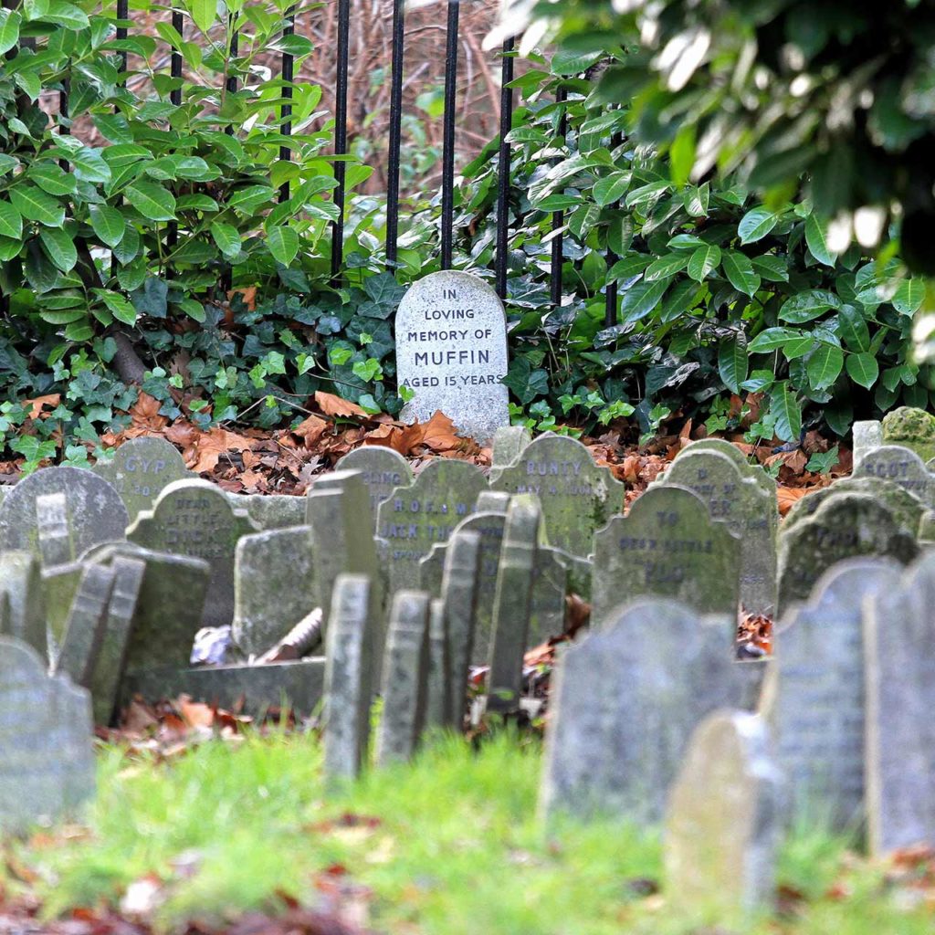 Le « cimetière des animaux » de Londres au Hyde Park : un lieu où il fait  bon frissonner | LondresSecret.com