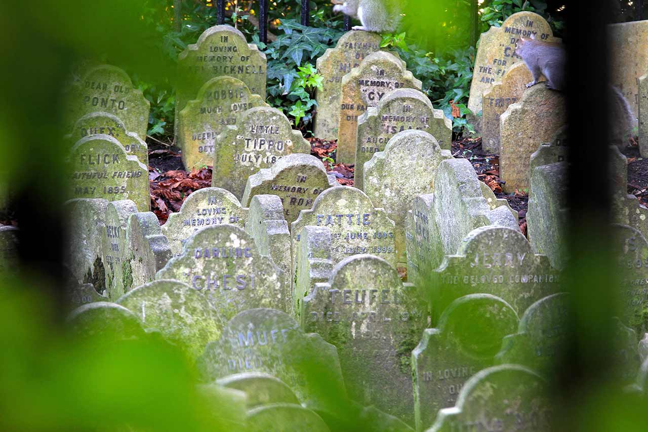 Cimetière des animaux Londres Hyde Park