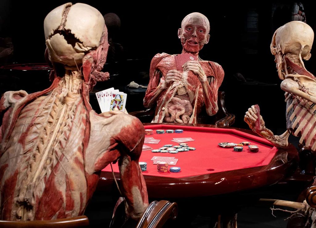 Exposition Body Worlds Londres