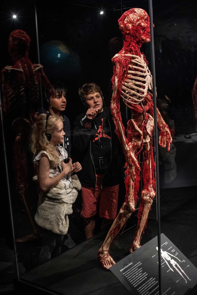 Exposition Body Worlds Londres enfants