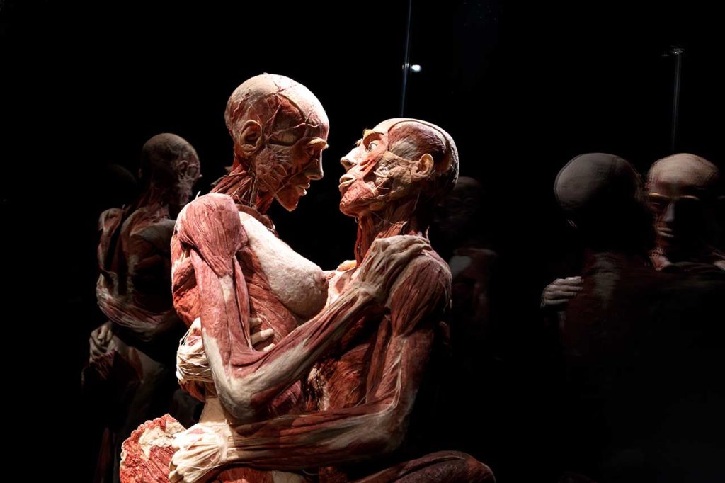 Exposition Body Worlds Londres